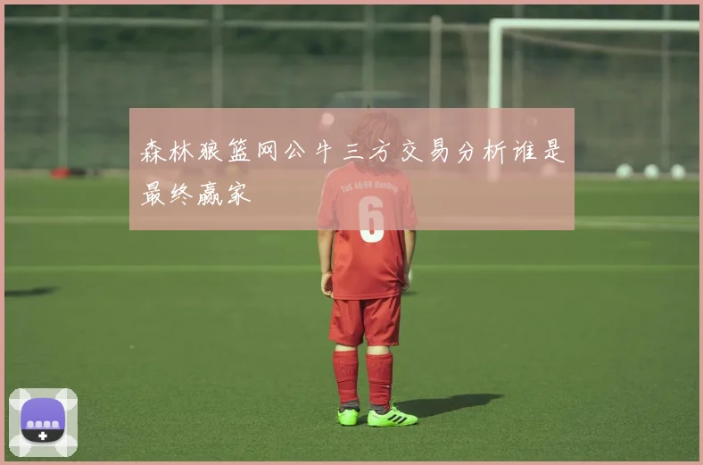 森林狼篮网公牛三方交易分析谁是最终赢家