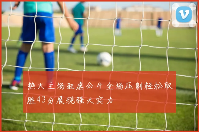 热火主场狂虐公牛全场压制轻松取胜43分展现强大实力